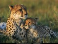 /album/fotogalerie/national-geographic-wallpapers-031-jpg/